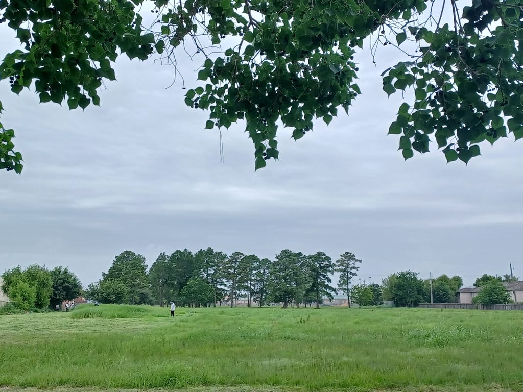 20250705_154440.jpg